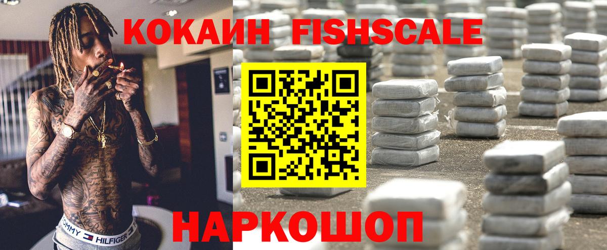 COCAIN Fish Scale  Вход с VPN  Кострома 