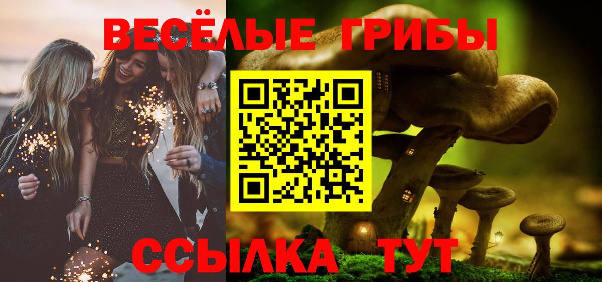 Галлюциногенные грибы прущие грибы Кострома